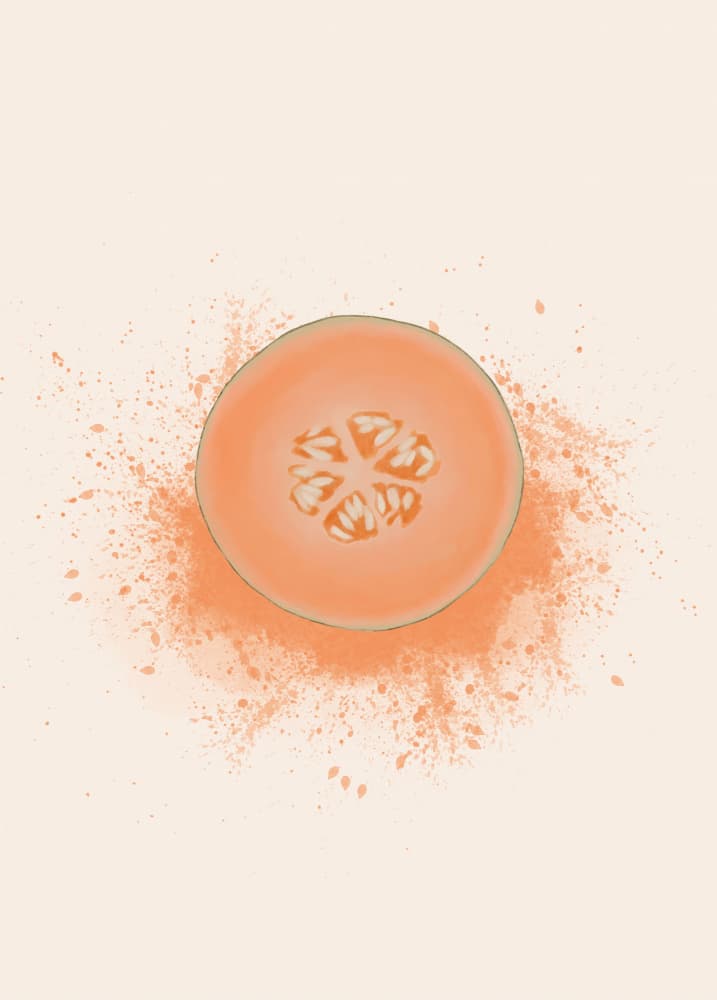 Fresh Melon Splash by Aminah Eleonora — canvas wall art