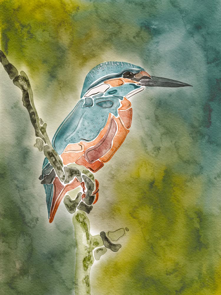 Vibrant Watercolor Kingfisher by Ankie Kooi — canvas wall art