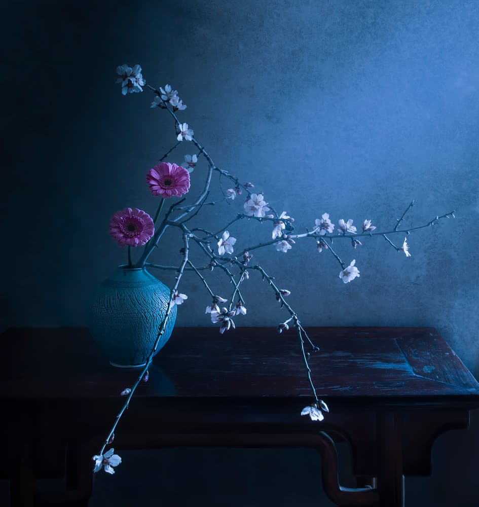 Dark Floral Elegance by Judy Tseng — canvas wall art