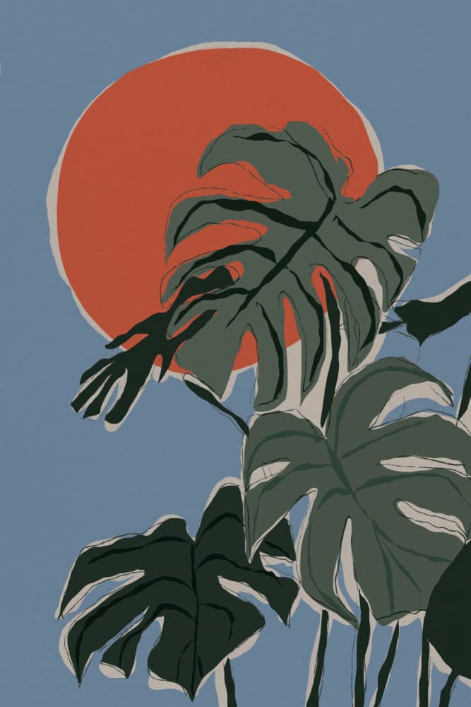 Monsterasunset by Treechild — canvas wall art