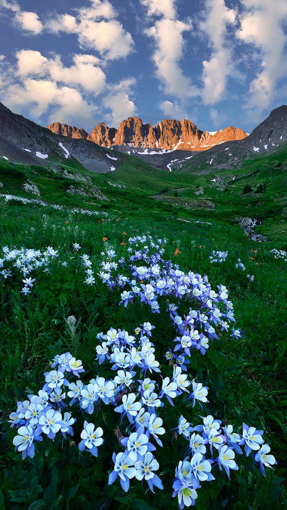 Alpine Meadow Sunrise by Mei Xu — canvas wall art