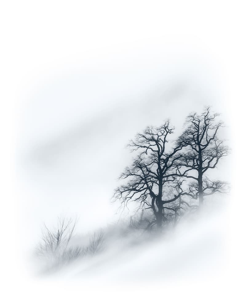 Misty Winter Trees by Majid Behzad — canvas wall art