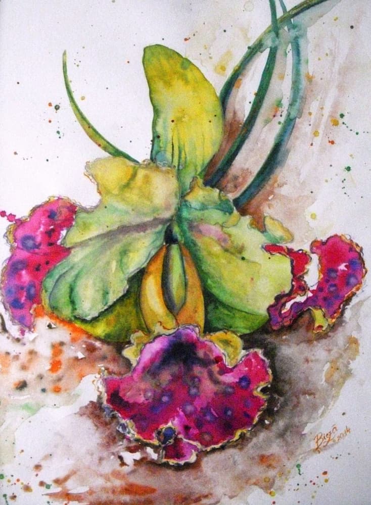 Vibrant Watercolor Orchid by Anda Bieza — canvas wall art