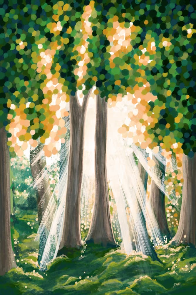 Sunlit Forest Glow by EMELIEmaria — canvas wall art