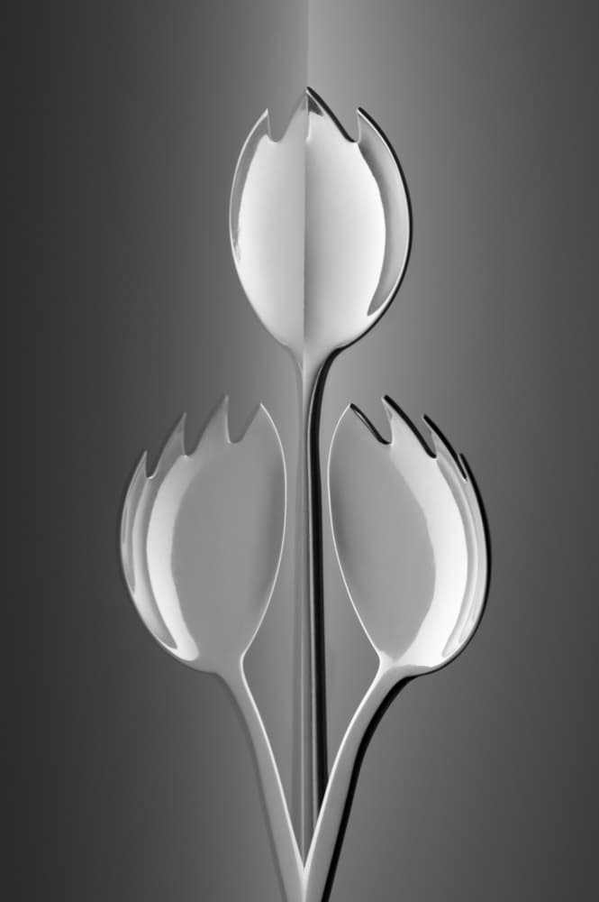 Sleek Silver Bloom by Wieteke de Kogel — canvas wall art