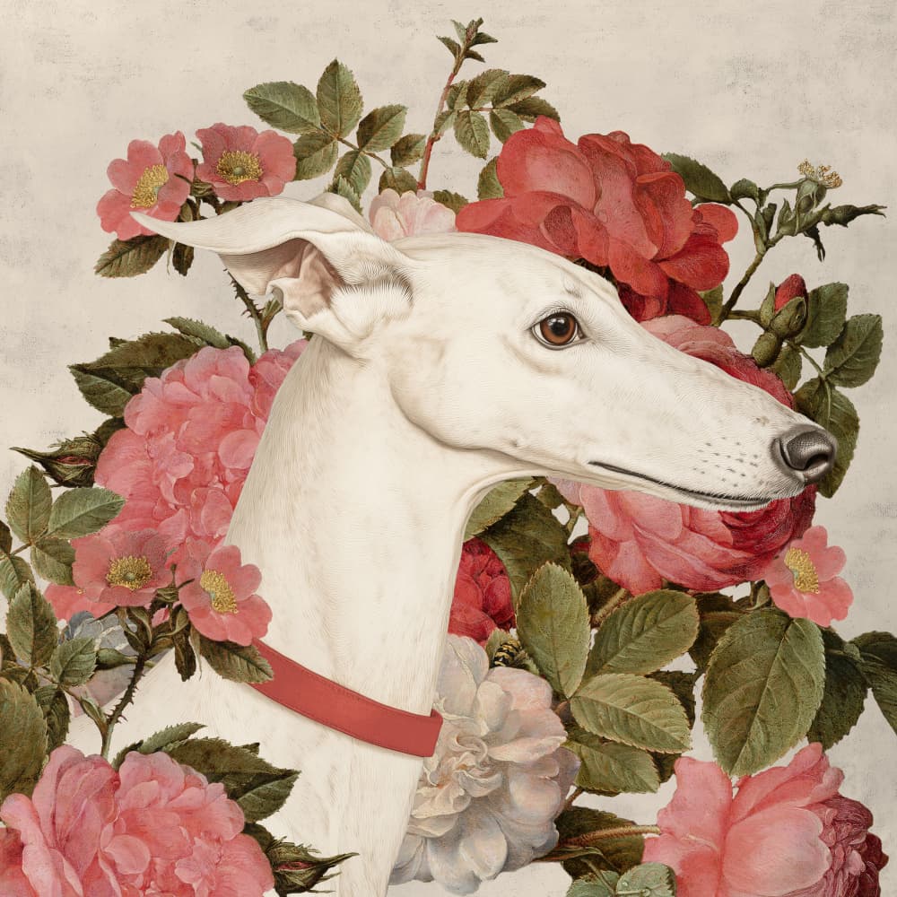 Elegant Greyhound And Roses by Marja van den Hurk — canvas wall art