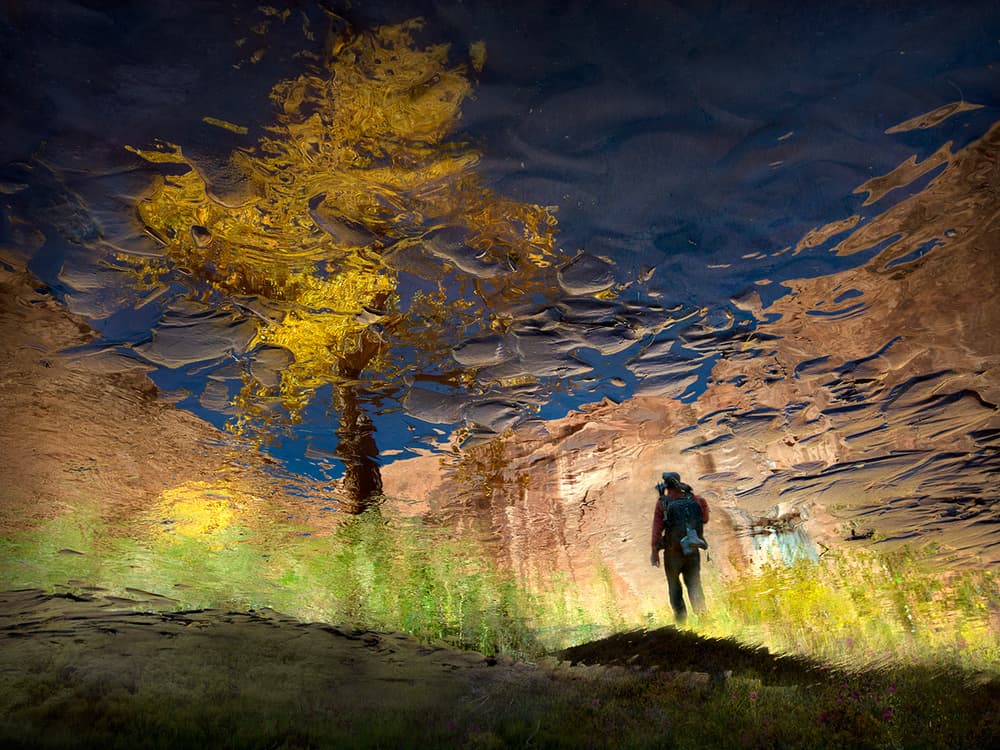 Reflected Golden Tree Hiker by Shenshen Dou — canvas wall art