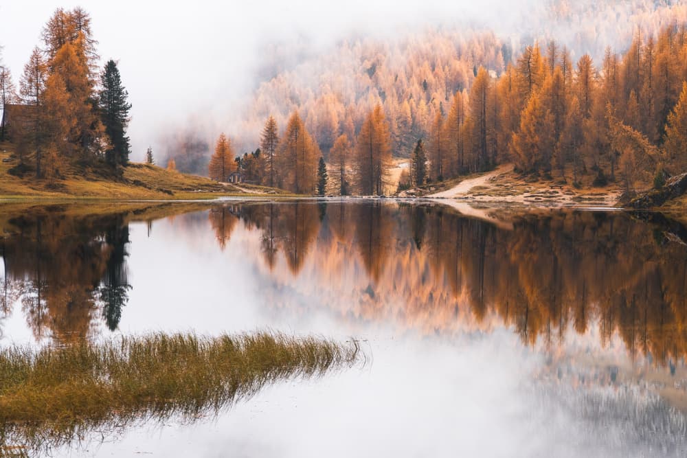 Misty Autumn Lake by Andreea Selagea — canvas wall art