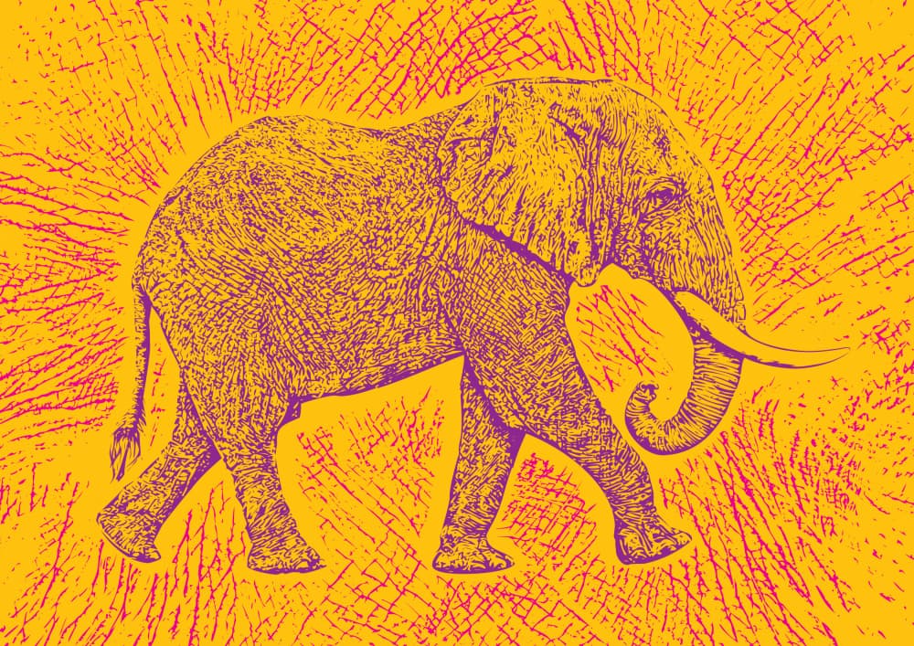 Bold Graphic Elephant by Carlo Kaminski — canvas wall art