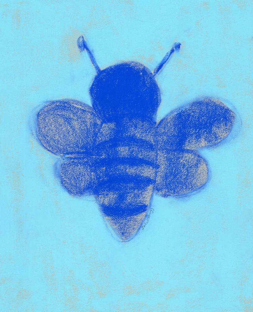 Blue Bee Sketch by Janel Bragg — canvas wall art