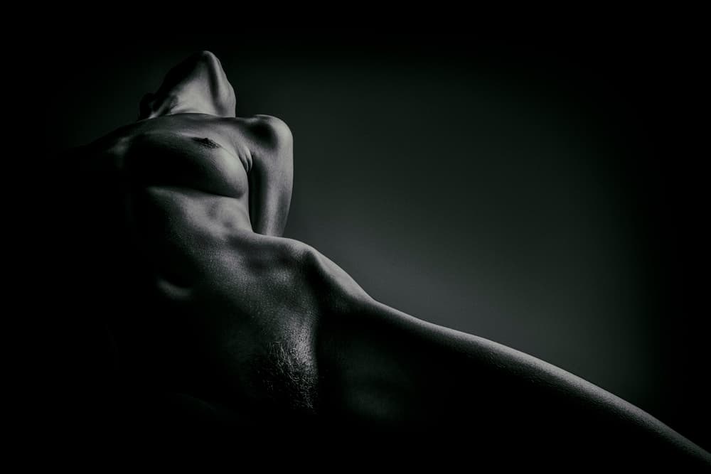 Body by AURIMAS VALEVICIUS — canvas wall art