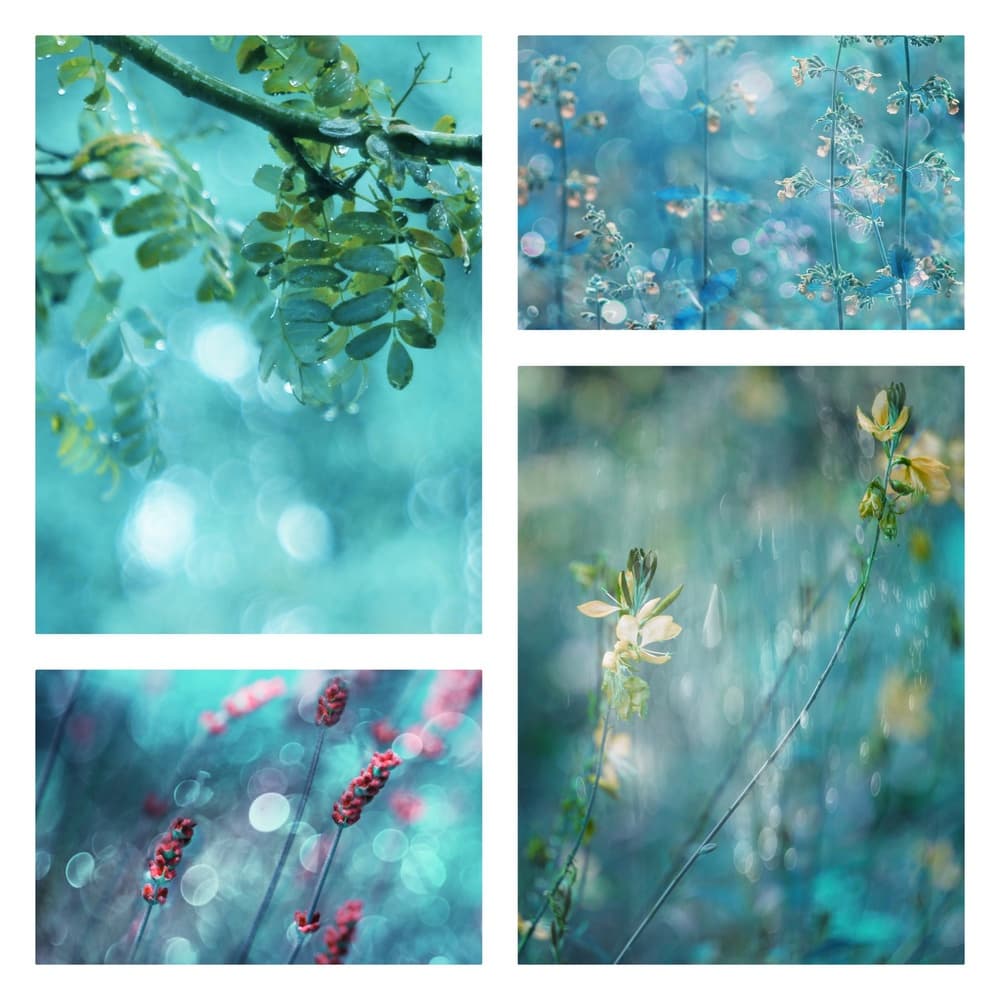 Life is Beautiful by Delphine Devos — canvas wall art