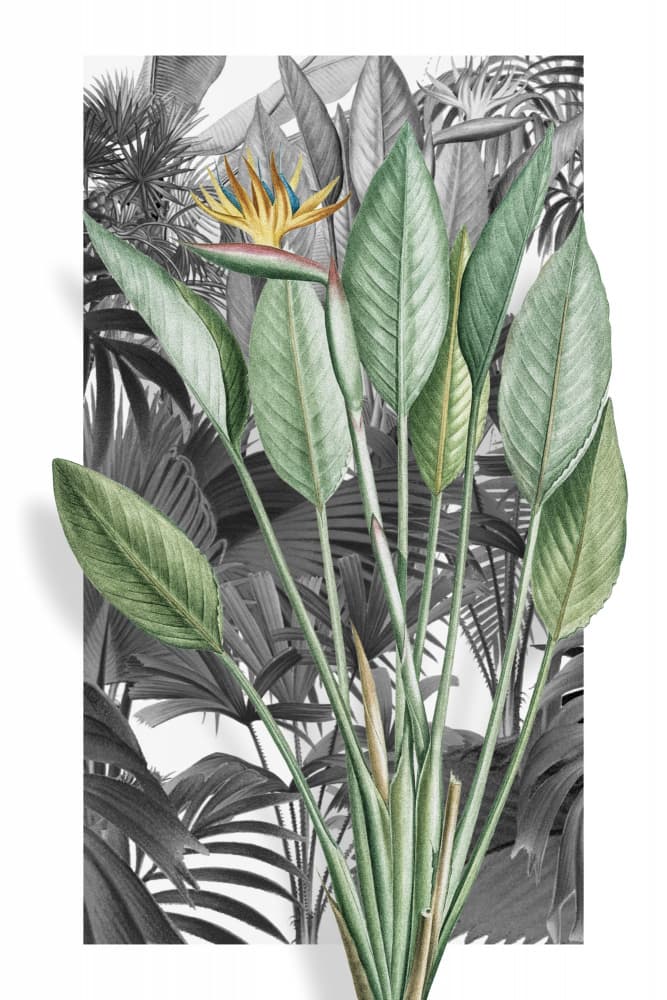 Vibrant Tropical Paradise by Marja van den Hurk — canvas wall art