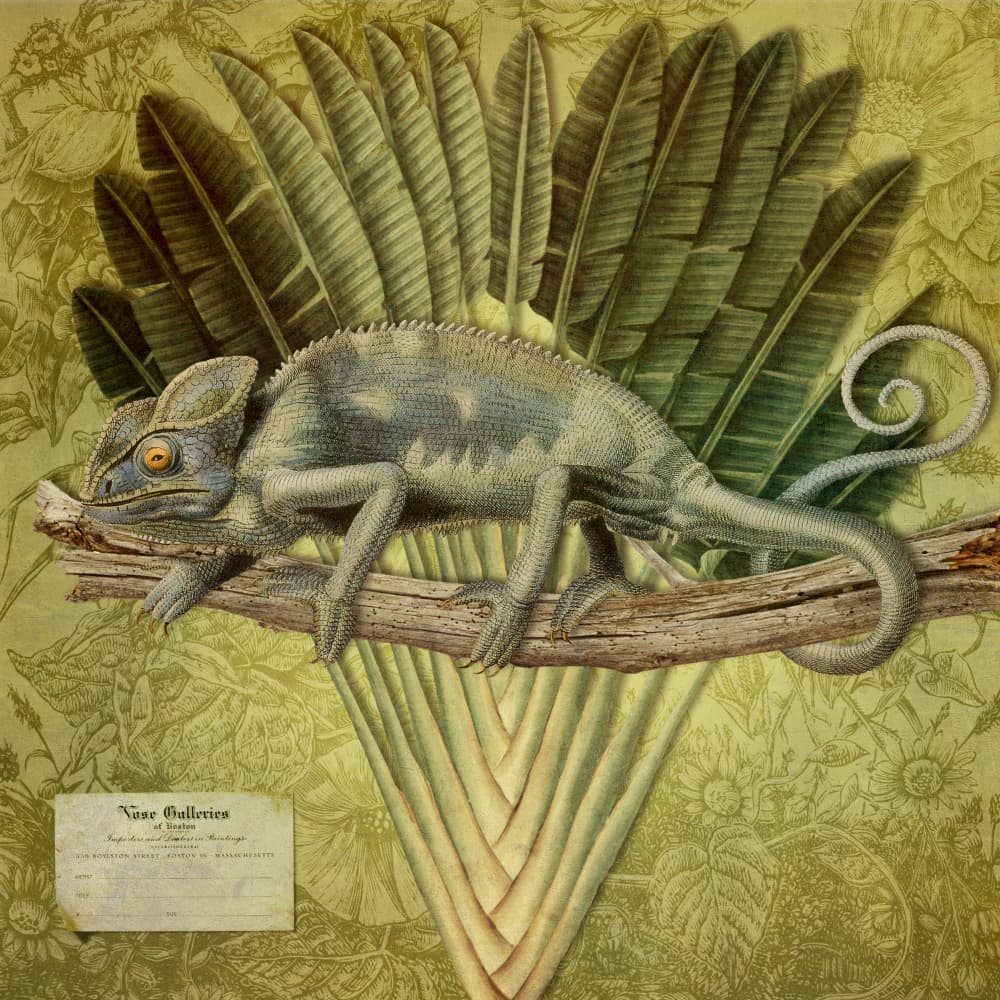 Tropical Chameleon Perched by Marja van den Hurk — canvas wall art