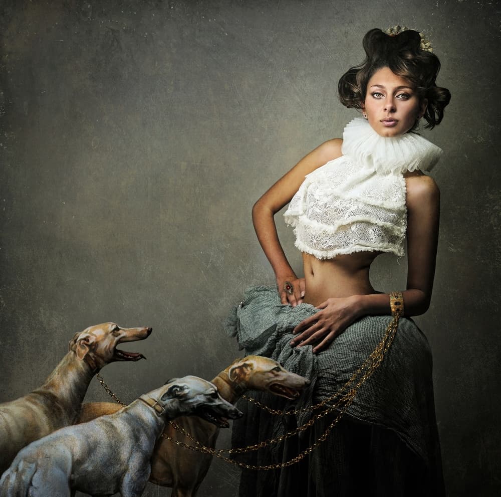 Elegant Woman and Hounds by DDiArte — canvas wall art
