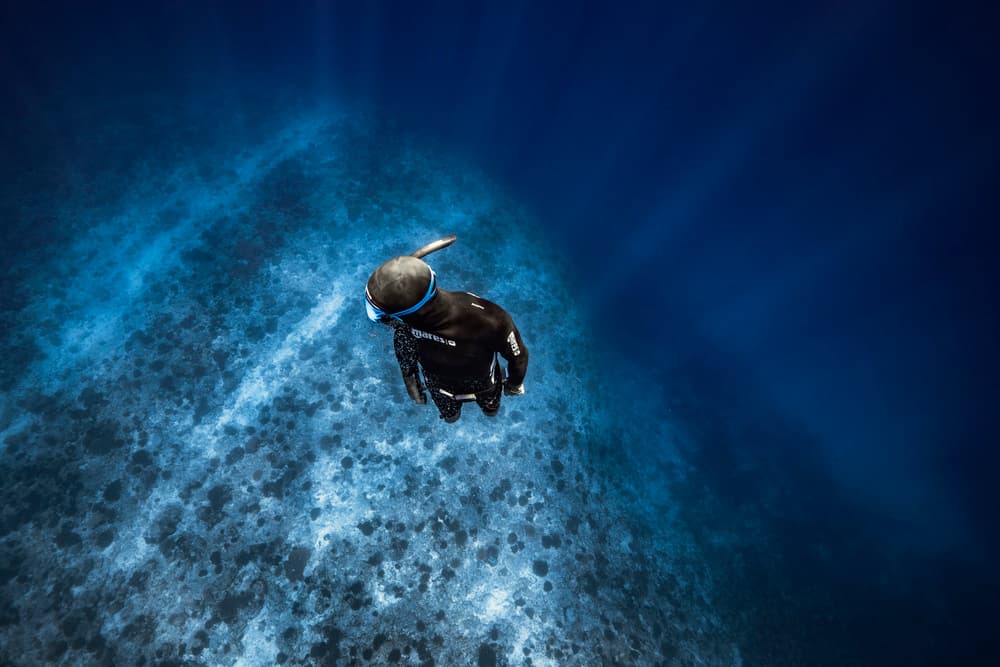 Deep Ocean Diver by Barathieu Gabriel — canvas wall art