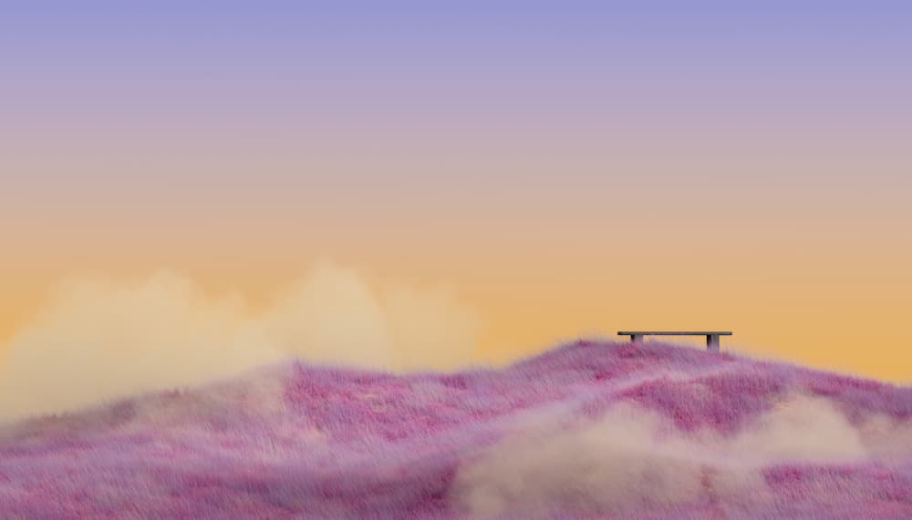 Dreamy Lavender Bench by Javier Pardina — canvas wall art