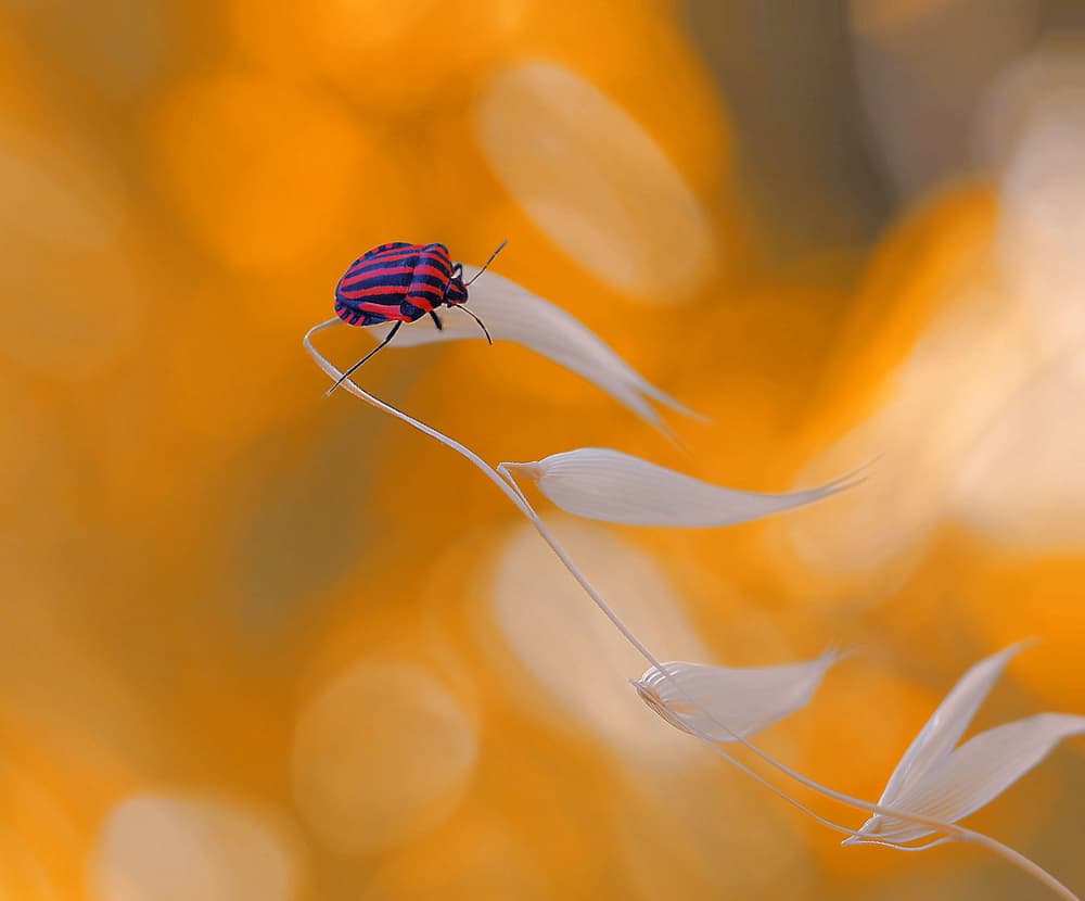Back from holidays... by Thierry Dufour — canvas wall art
