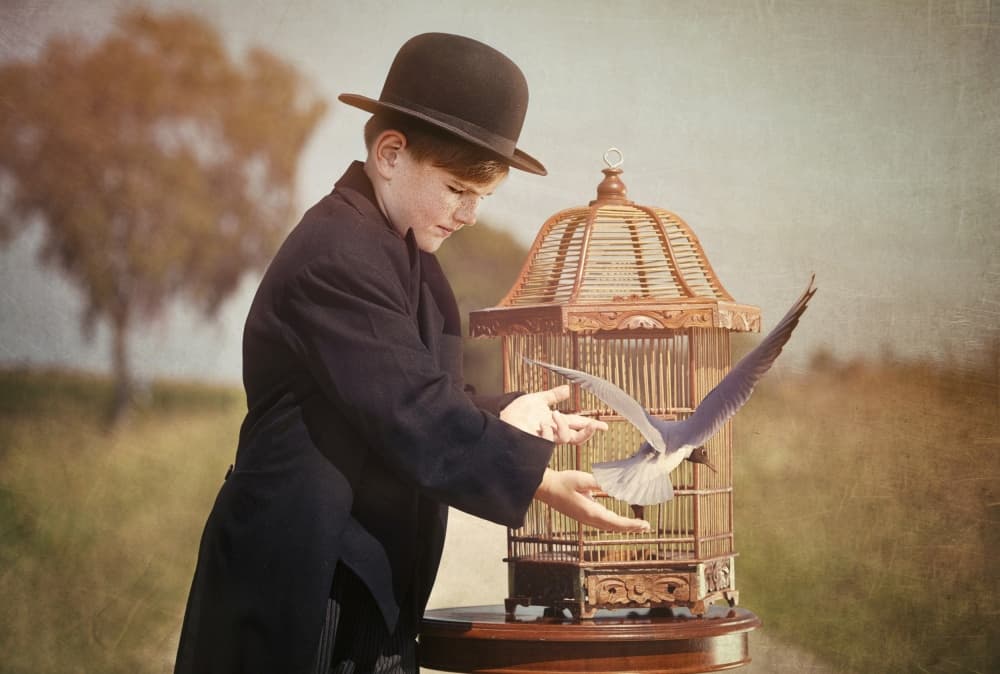 Vintage Boy Releases Bird by Monika Vanhercke — canvas wall art
