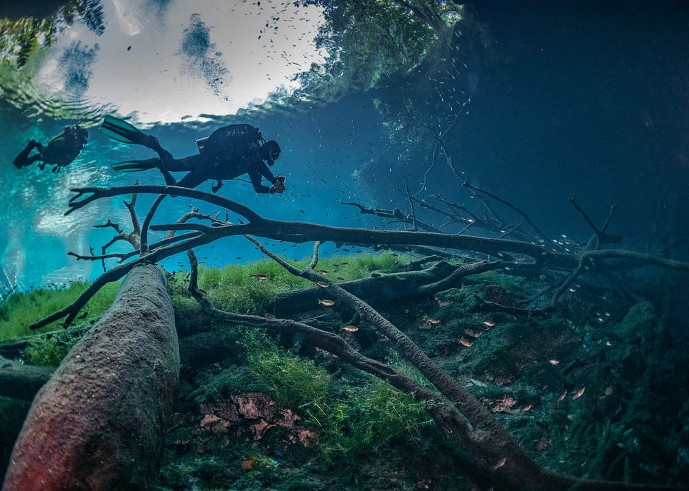 Sunlit Underwater Adventure by Jennifer Lu — canvas wall art