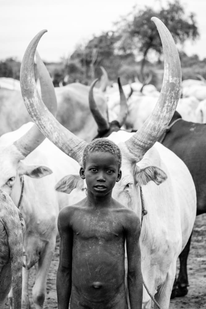 Boy Among Watusi Cattle by Svetlin Yosifov — canvas wall art