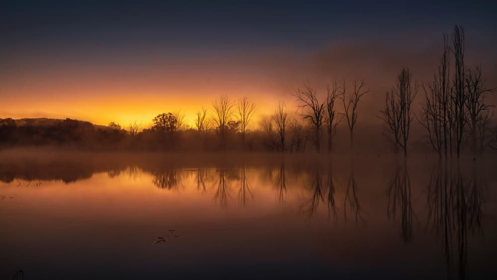 Golden Lake Reflections by Emanuel Papamanolis — canvas wall art