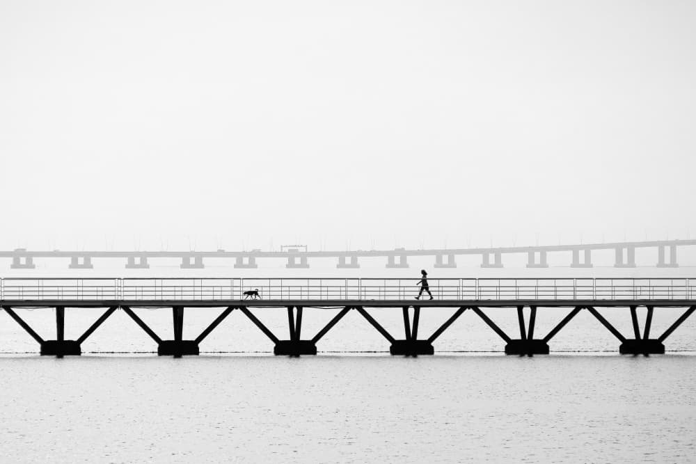 Man Walking Dog Bridge by Marius Cinteza — canvas wall art
