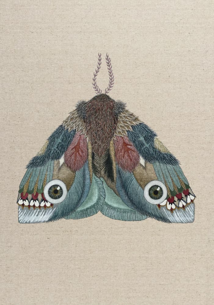 Moth With Striking Eyes by ZAM.ROD — canvas wall art