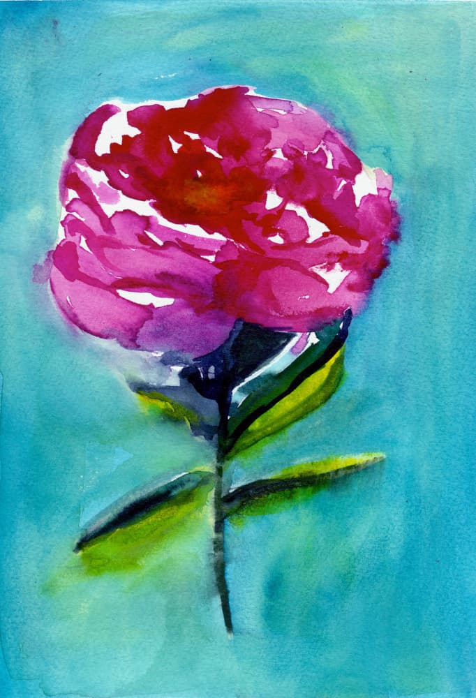 Vibrant Pink Flower by Christine Lindstrom — canvas wall art