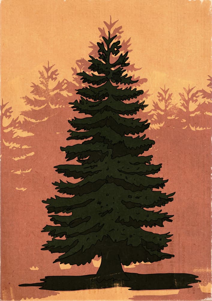 Evergreen Forest Glow by Nicholas — canvas wall art