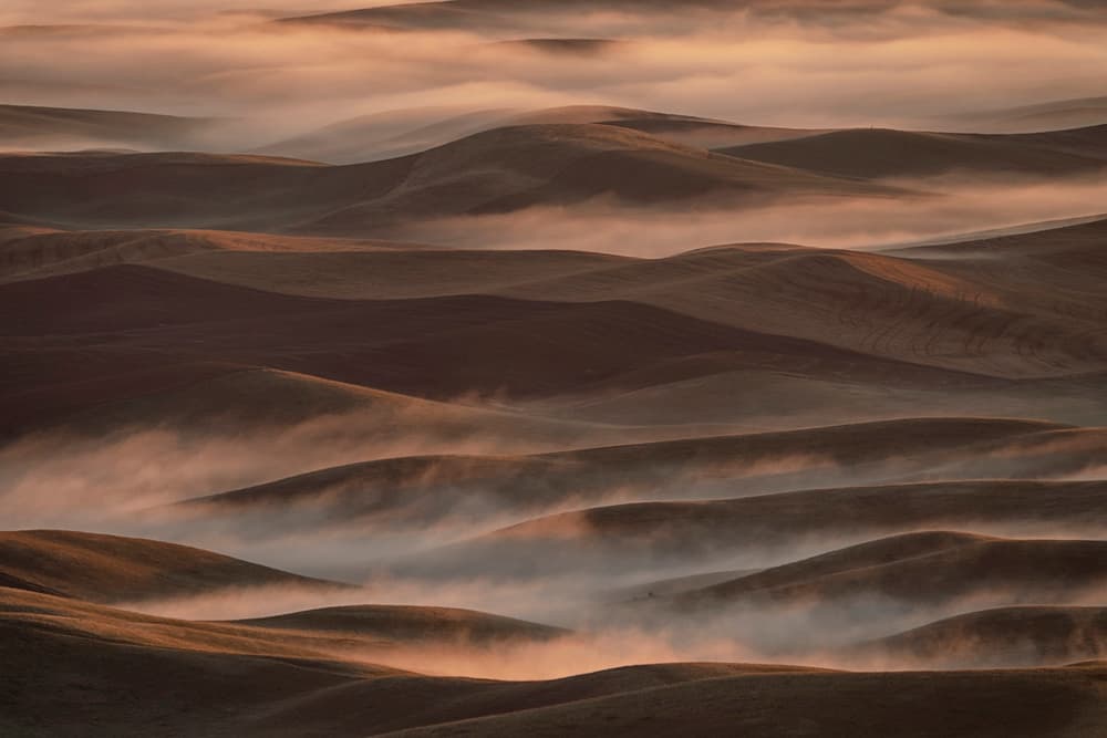 Morning Fog Rolling Hills by Lydia Jacobs — canvas wall art