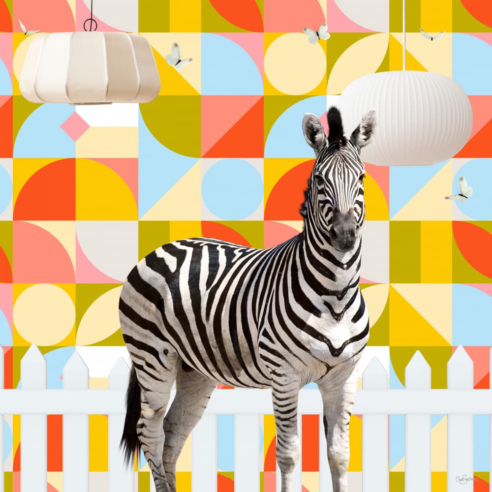 Playful Zebra Patterns by Sue Skellern — canvas wall art