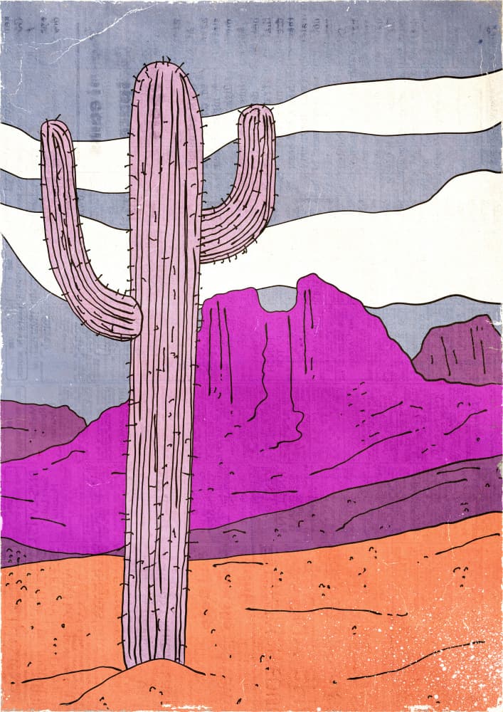 Vibrant Desert Saguaro by Nicholas — canvas wall art