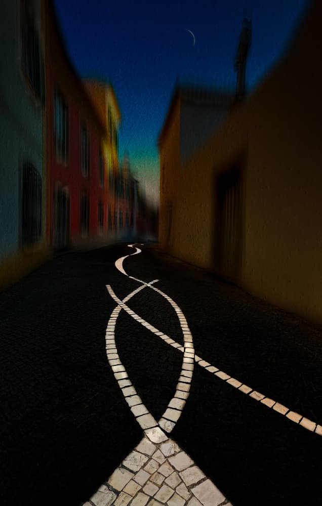 Winding Moonlit Path by Molly Fu APA — canvas wall art