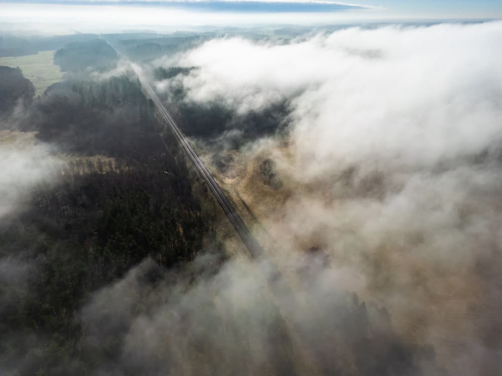 Misty Forest Road by Leszek Paradowski — canvas wall art