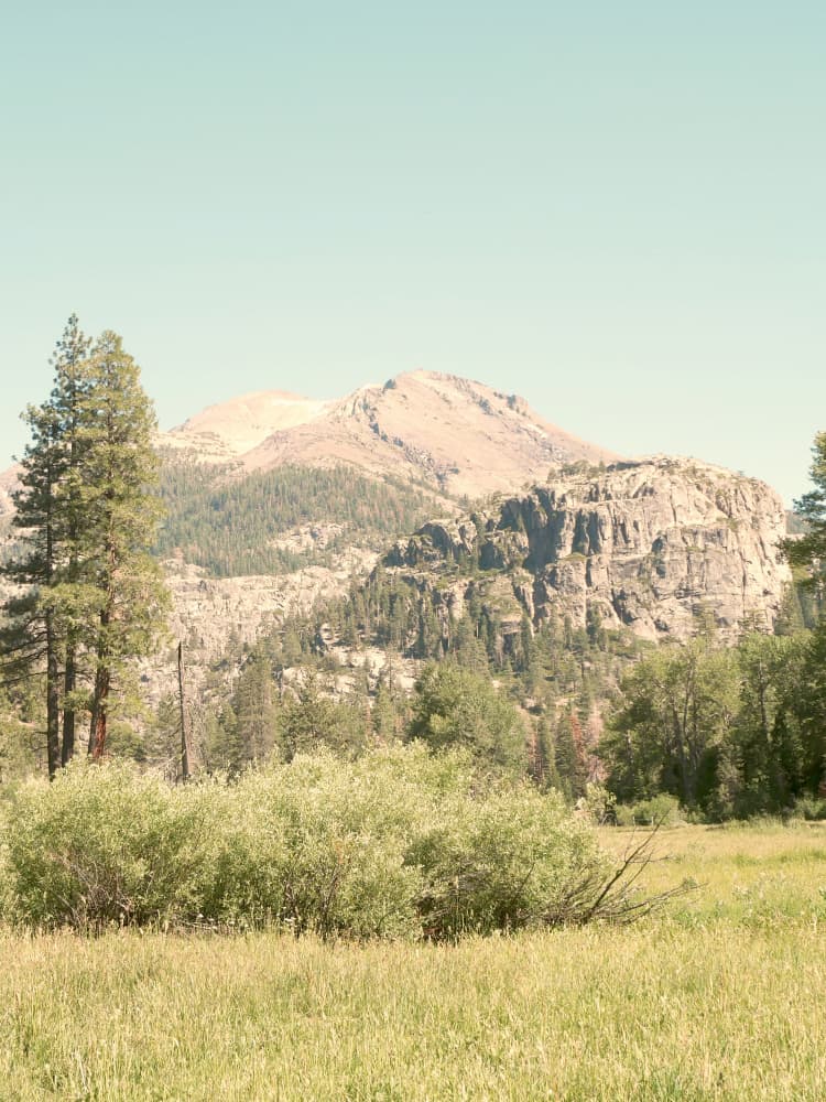 Mountain Meadow Serenity by Gemma Bardot — canvas wall art