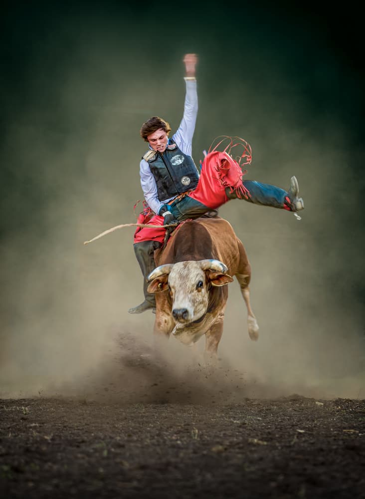 Bucking Bull Action by Frank Ma — canvas wall art