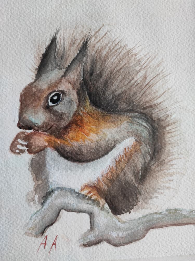 Watercolor Forest Squirrel by Annette Armitage — canvas wall art