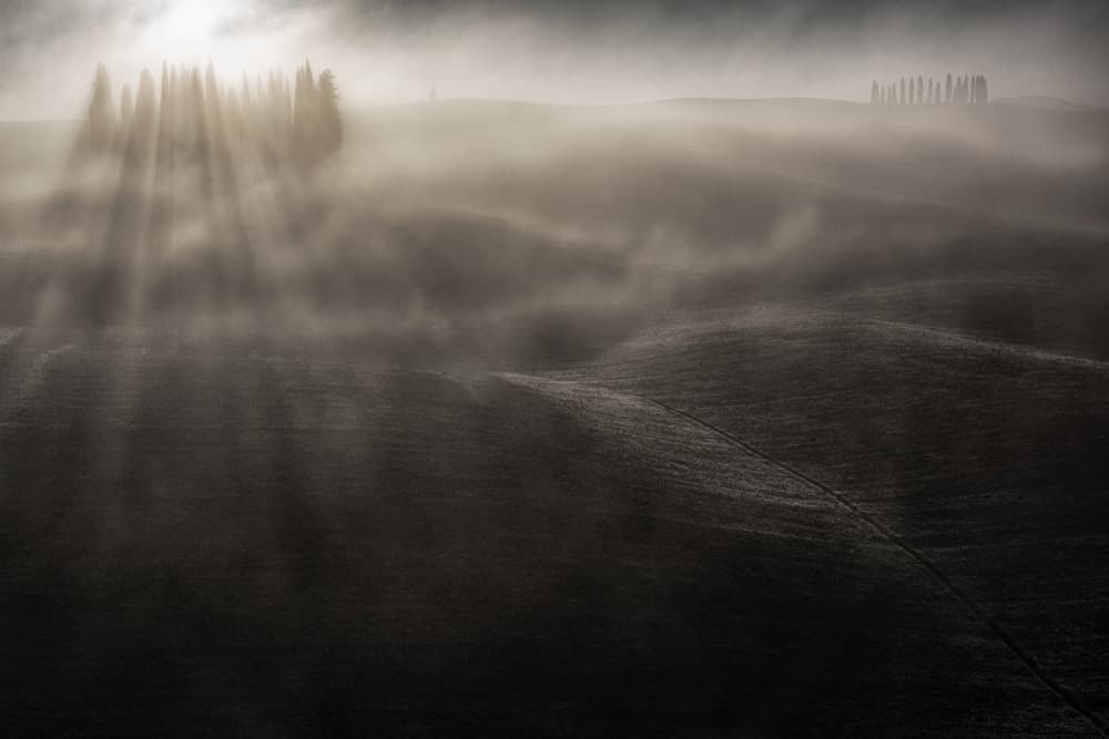 Misty Tuscan Sunlight by Luca Domenichi — canvas wall art