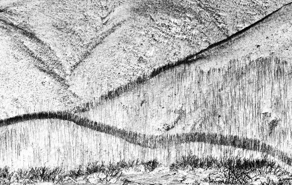Winter Mountain Lines by Wayne Pearson — canvas wall art