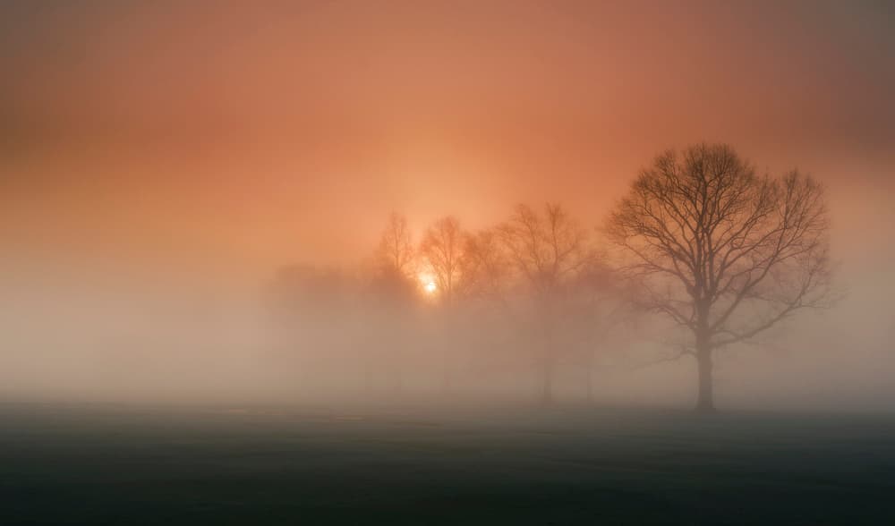 Golden Morning Mist by Wei (David) Dai — canvas wall art