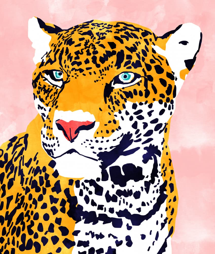 Pink Pop Jaguar by Uma Gokhale — canvas wall art