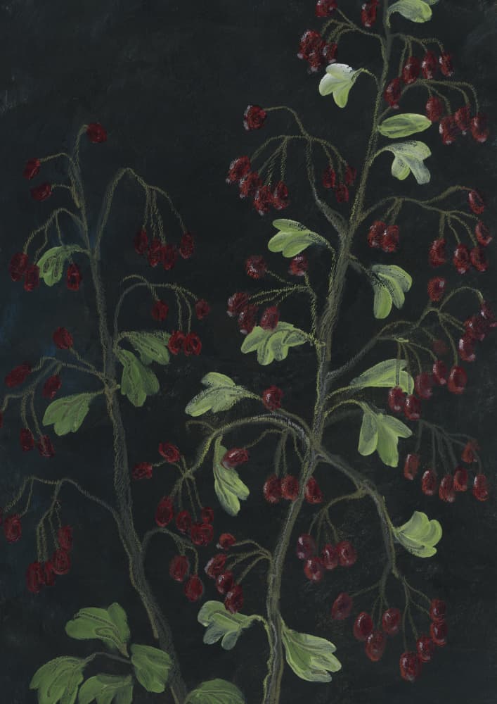 Crimson Berries Branches by Rosana Laiz Blursbyai — canvas wall art