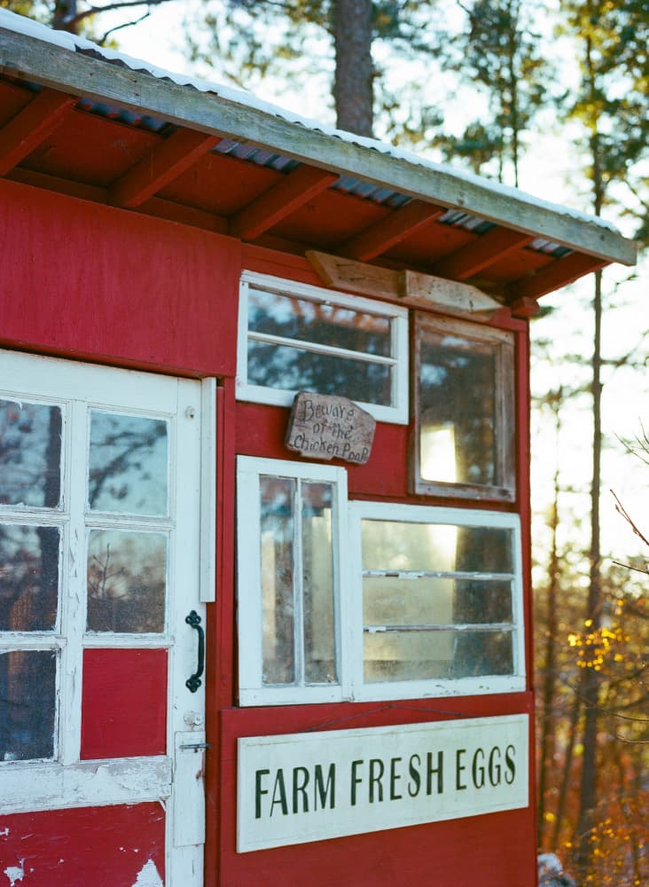 Red Chicken Coop by Bethany Young — canvas wall art