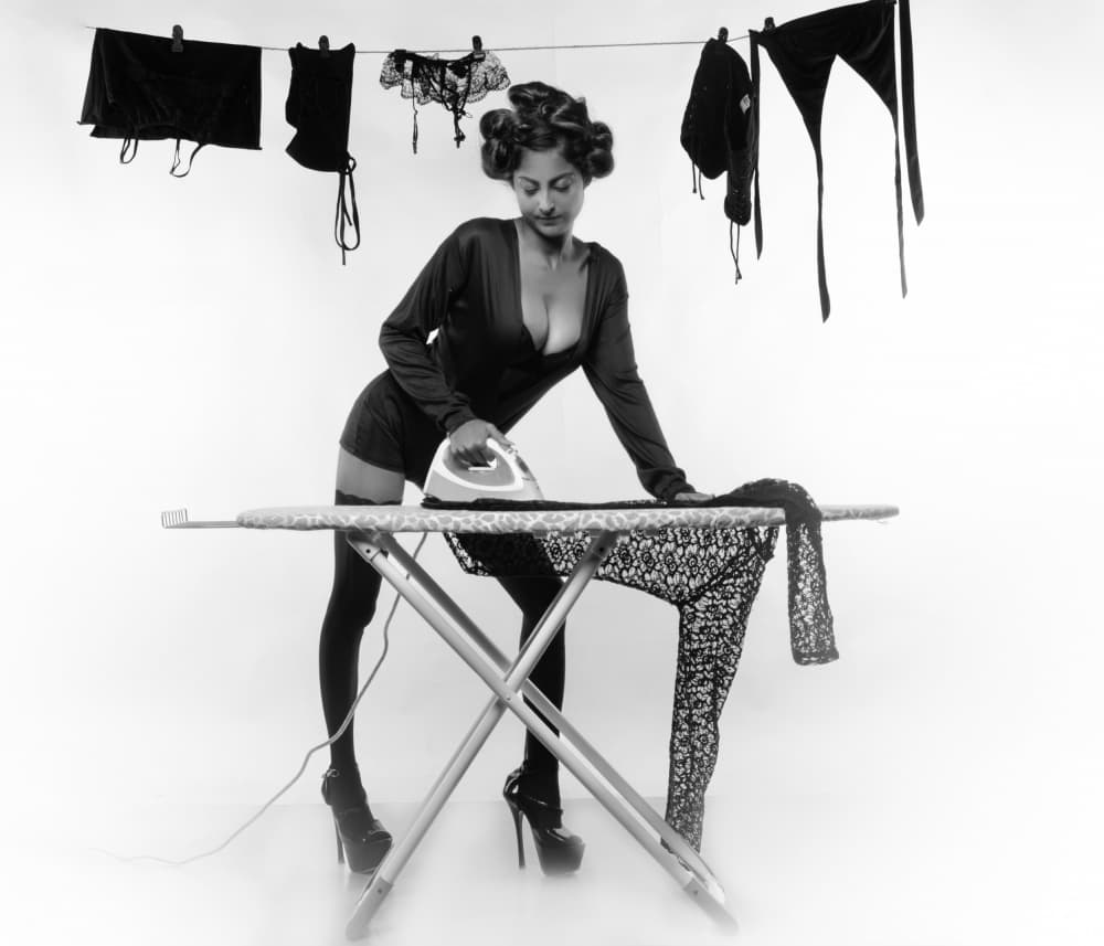 Glamorous Housework by PARTHA BHATTACHARYYA — canvas wall art
