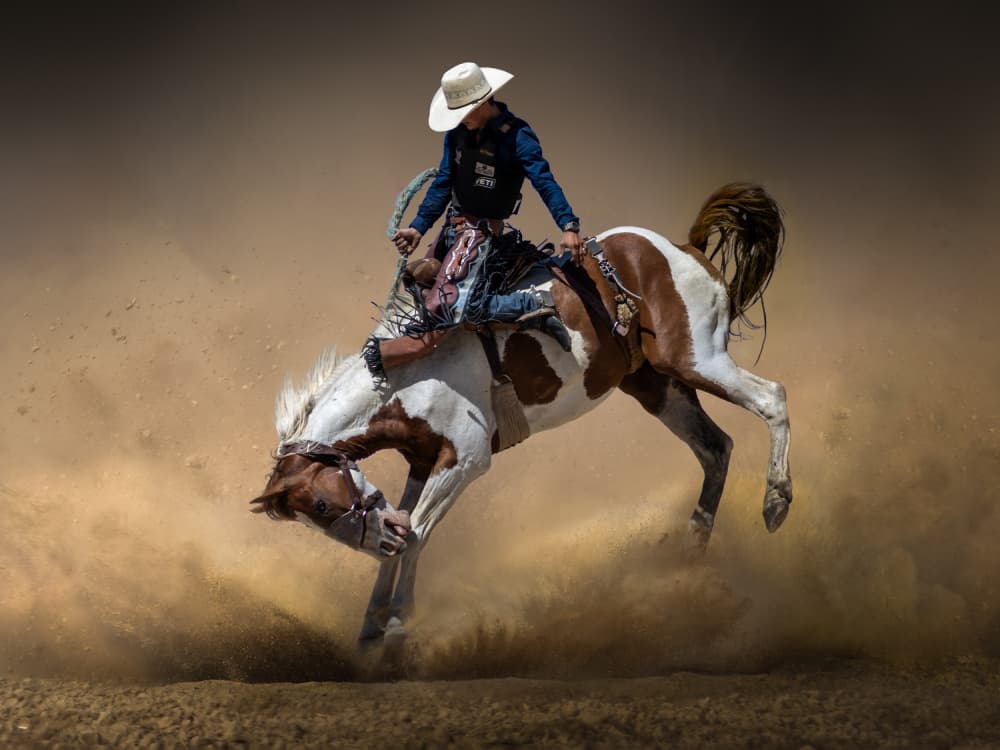Bucking Bronco Rider by Irene Wu — canvas wall art