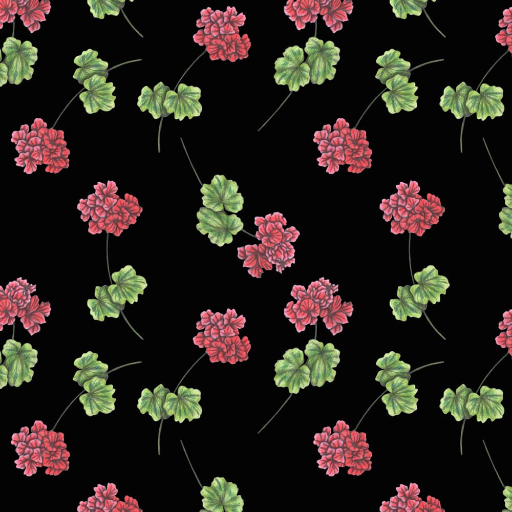 Red Geraniums Pattern by Cecilia Battaini — canvas wall art