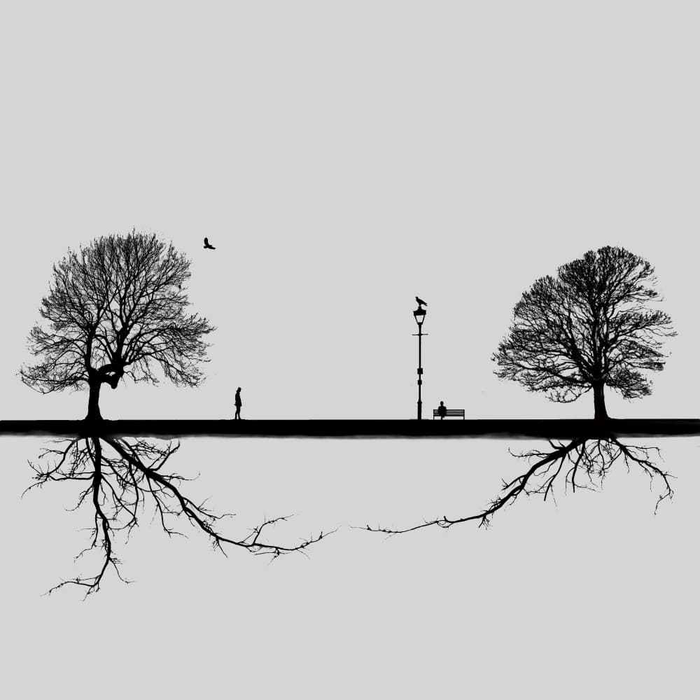Connecting Roots by Hadi Malijani (Malenjani) — canvas wall art