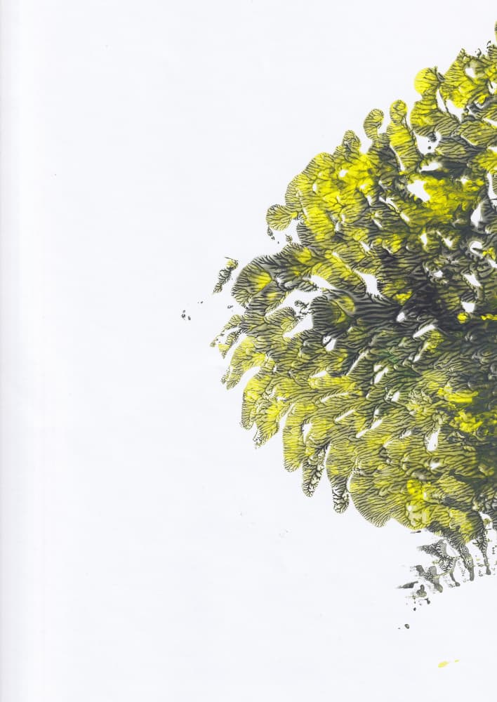 Vibrant Green Texture by Maira Ribena — canvas wall art
