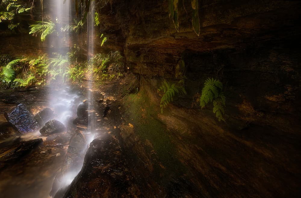 Glowing Forest Waterfall by Yan Zhang — canvas wall art